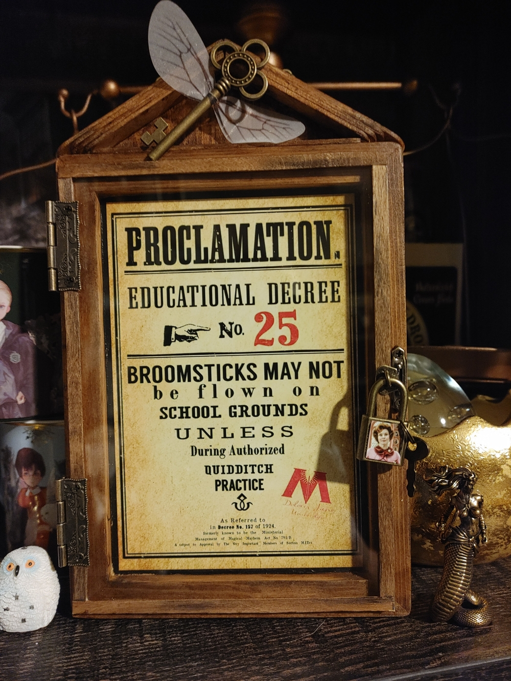 Harry Potter Proclamation #25 Wood Wall decor